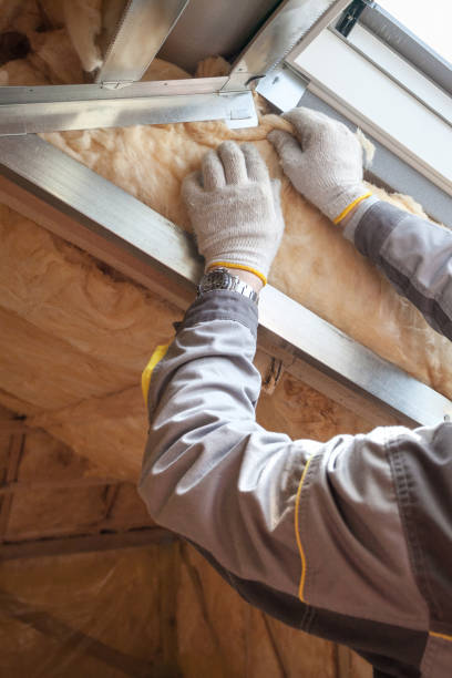 Trusted Creve Coeur, IL Insulation Contractor Experts
