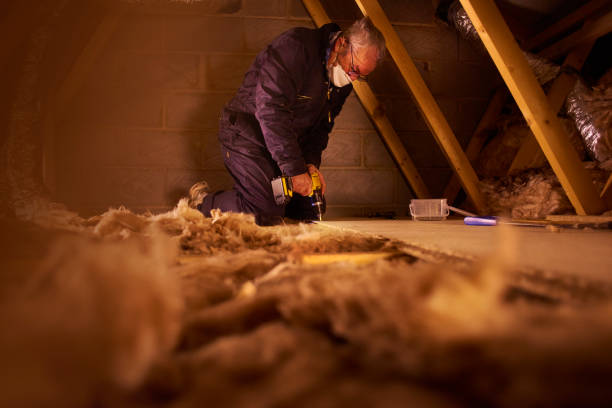 Professional Insulation Contractor in Creve Coeur, IL
